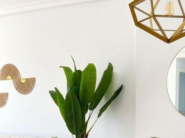 Selwo, Estepona East, Estepona, Andalusia 29680