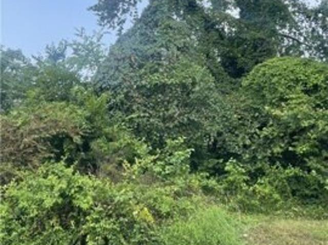 Selden St, Richmond, Plot For Sale