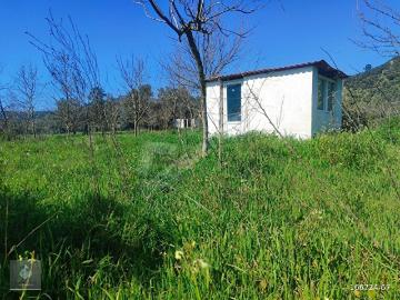 Milas, Muğla ili, Ege Bölgesi