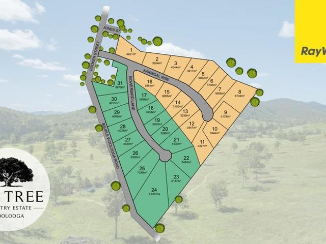 Stage 1 Selling NOW Fig Tree Country Estate Woolooga