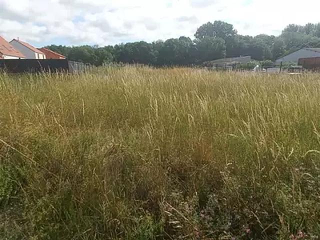 Selongey 21260 Programme neuf maison neuf à vendre 4 pièces