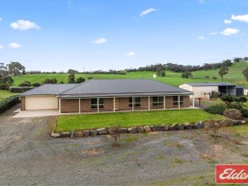 Seppeltsfield Gem on 20 Acres