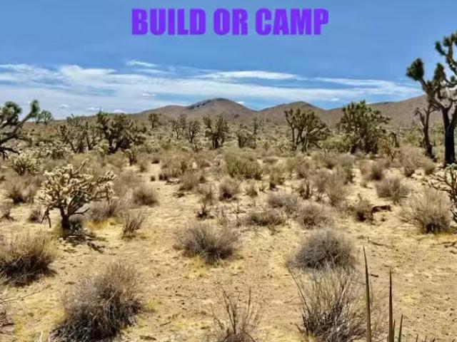 Sequoia Dr, Dolan Springs, AZ 86441 MLS 035850