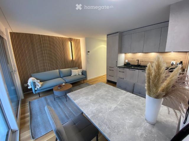 SERVICED PREMIUM APARTMENTS FREIENBACH & WOLLERAU