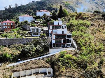 Trabzon ili, Karadeniz Bölgesi