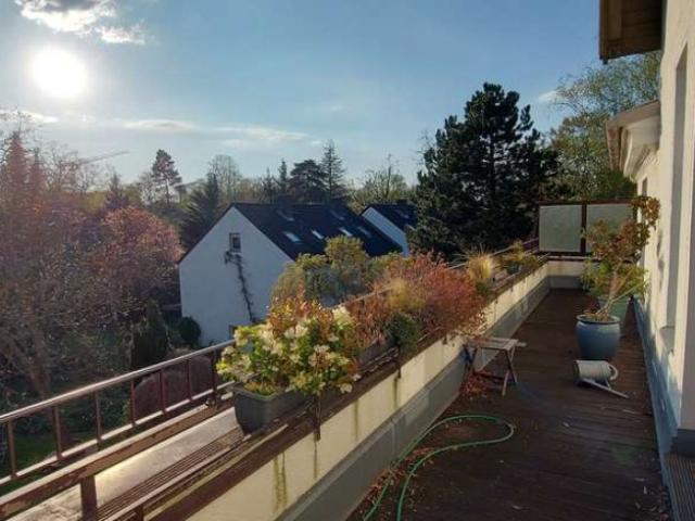 serene, close to FUB, close to the city and right by the Botanical Garden, Berlin Amsterdam Apartments for Rent