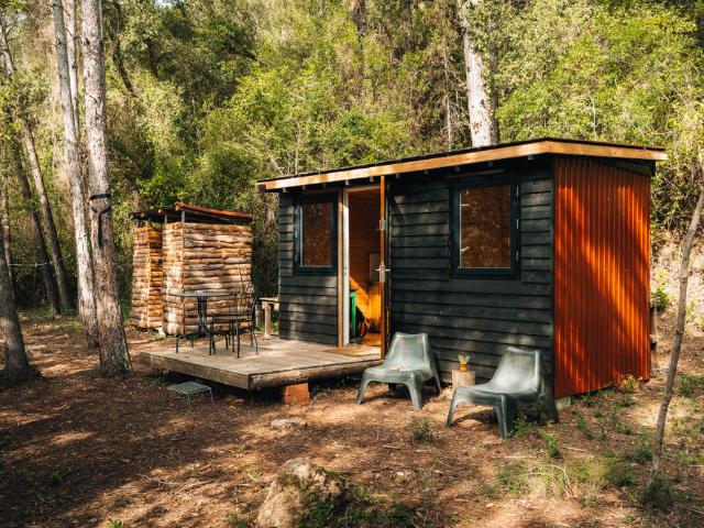 Serene Forest Cabin by the River