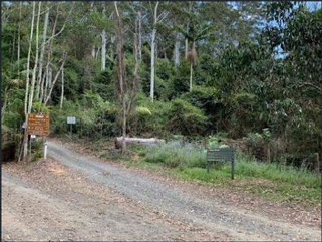 Rainforest Living Furnished One Bedroom Home