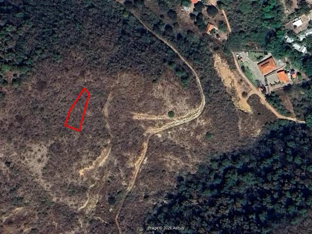 Sergio Alfonso Pérez 317 389 2643 VENDE terreno Campestre al Noroeste de El Jalocote