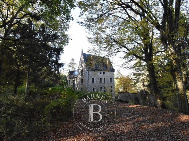 Sermaise Manoir de 485m2 habitables sur un terrain de 18 h. 485m² Sermaise