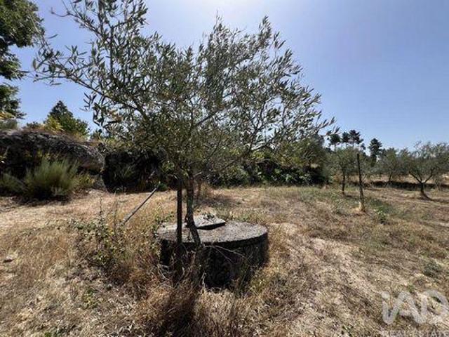 Sernancelhe Viseu 94009873