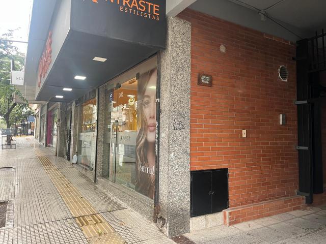 Serrano Propiedades