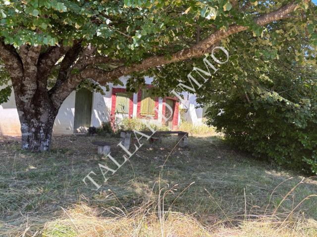 Serres, maison à rénover sur terrain 4611 m2