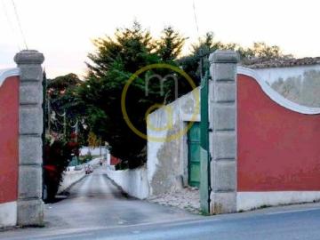 Cotovia, Castelo, Sesimbra