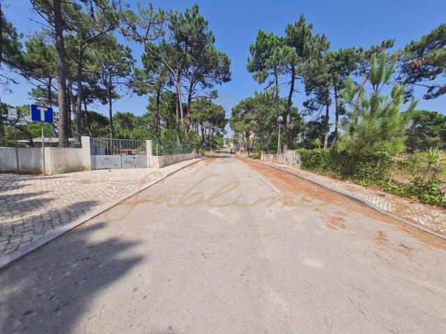 Sesimbra Sesimbra 93327392
