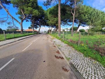 Sesimbra Sesimbra 95746968