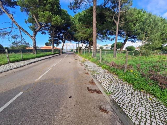 Sesimbra Sesimbra 95746968
