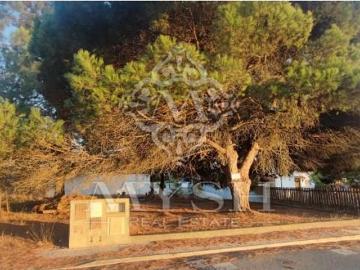 Fontainhas, Quinta do Conde, Quinta do Conde, Seixal, Distrito de Setúbal