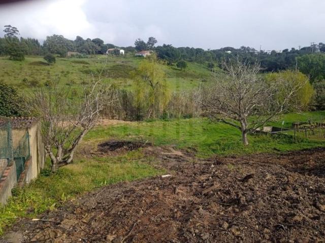 Sesimbra Sesimbra 101652457