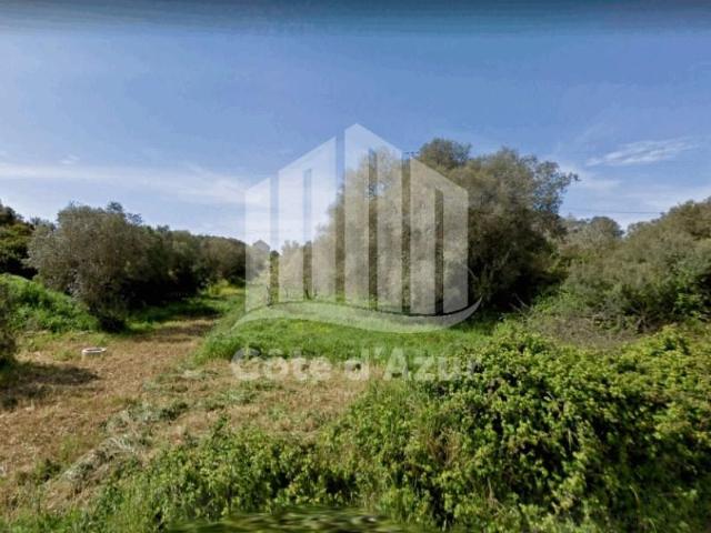 Sesimbra Sesimbra 104617484
