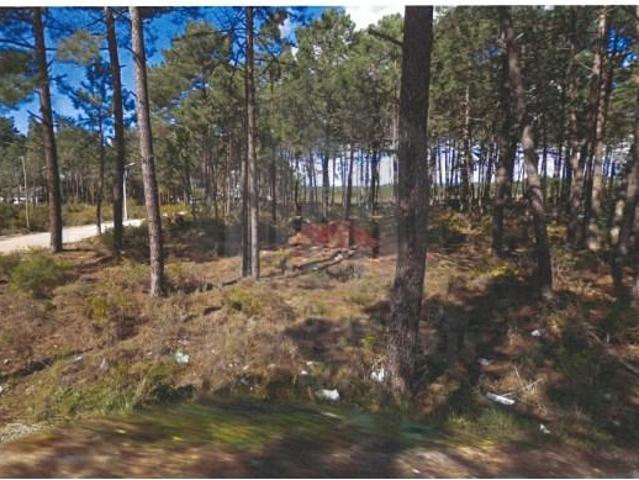 Sesimbra Sesimbra 104664702