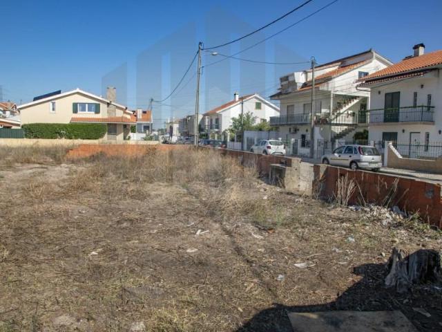 Sesimbra Sesimbra 104886358