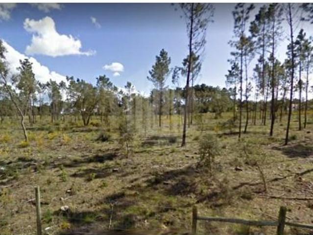 Sesimbra Sesimbra 104886360