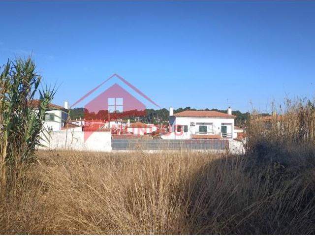 Sesimbra Sesimbra 104946301