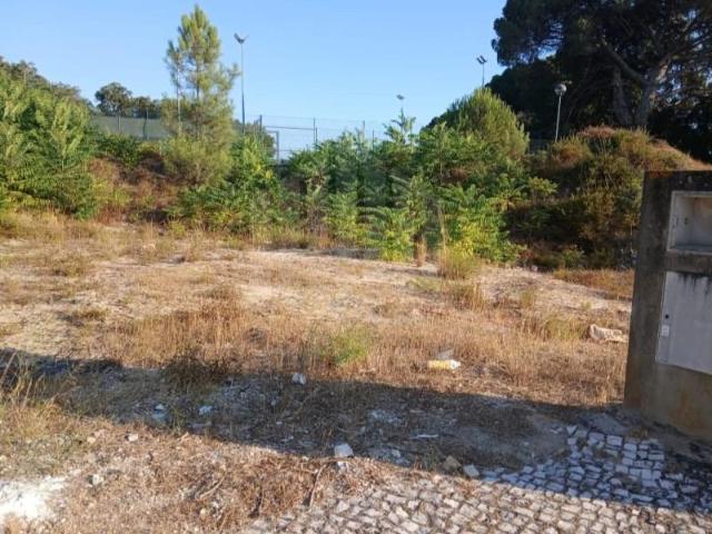 Sesimbra Sesimbra 104187324