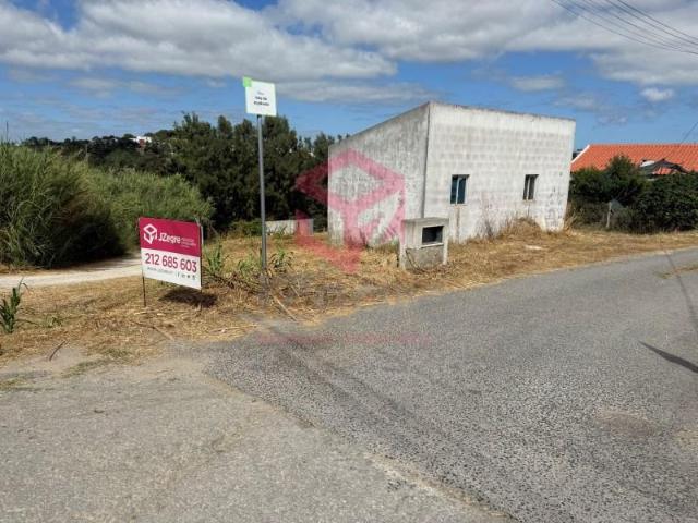 Sesimbra Sesimbra 105682859