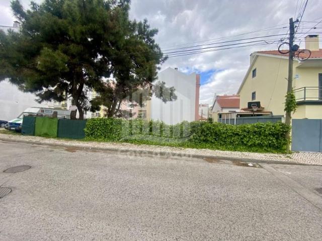 Sesimbra Sesimbra 105013855