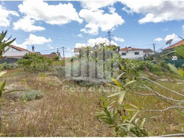 Sesimbra Sesimbra 105046329
