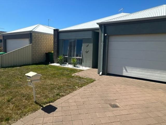 Settle in Singleton!