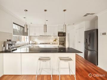 Settled and Sophisticated Sandarra Appeal