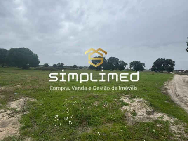 Setúbal Palmela 2965 98419941