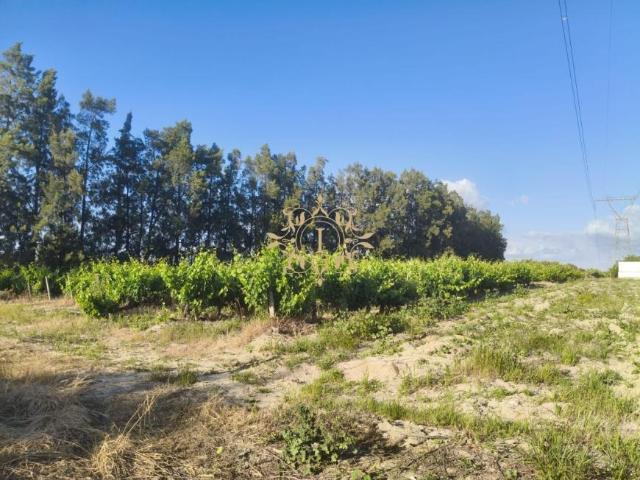 Setúbal Palmela 2965 102434700