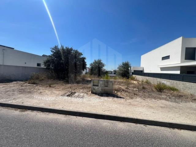 Setúbal Setúbal 105786904