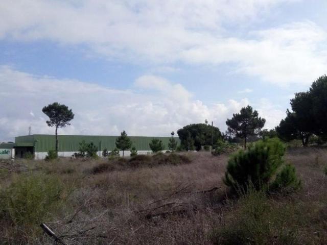 Setúbal Setúbal 2910 738 97123290