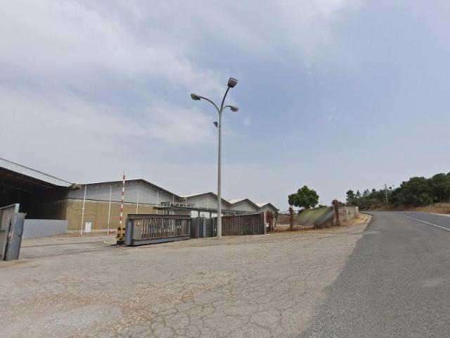 Setúbal Setúbal 2910 845 105538265