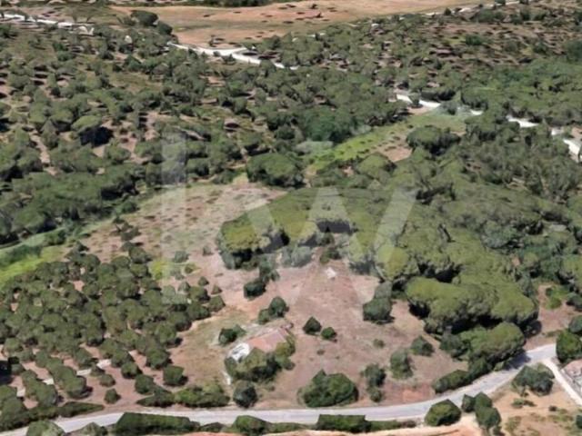 Setúbal Setúbal 87447358