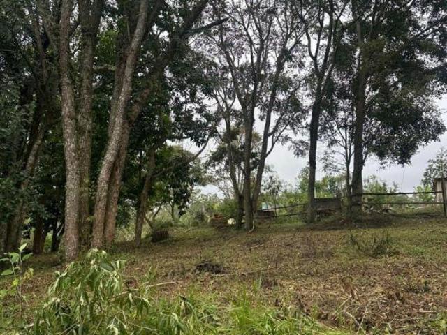 Seu Lote de 1.000m² com Parcelamento Direto Sem Banco!