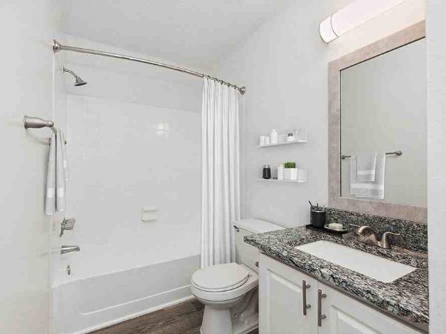 Seven Lakes at Carrollwood 2 Bedroom Apartment for Rent at 3303 N Lakeview Dr, Tampa, FL 33618