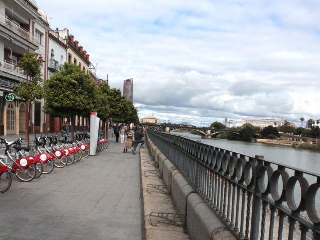 Sevilla, Andalusia 41010