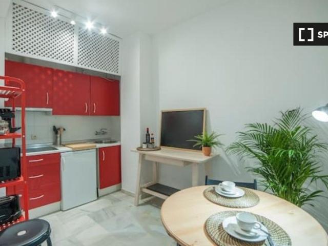 seville, Andalusia 41001