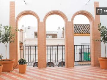 seville, Andalusia 41010