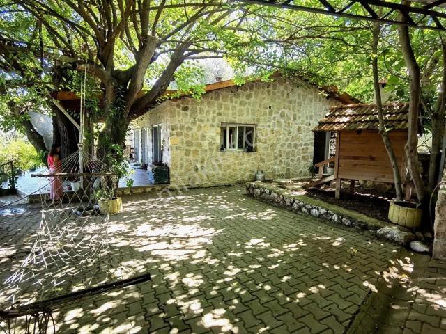 Seydikemer Yaka'da Müstakil Taş Ev Ve Bungalowlar