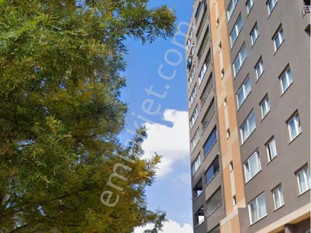 Seyhan Adana Koleji Arkası Sahibinden Kiralık 1+1 Eşyasız