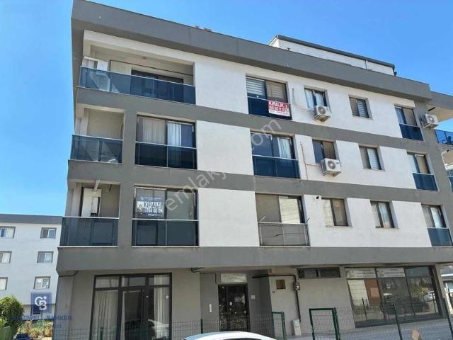 Seyrek 1+1 Kiralık Daire