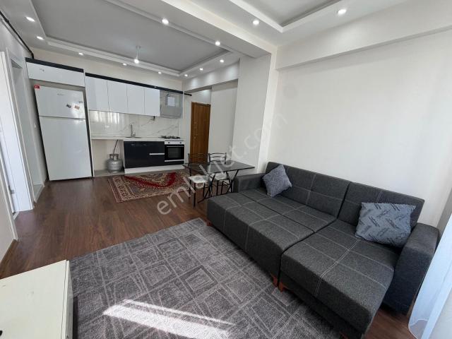 Seyrek Merkez'de 1+1 Eşyalı Kiralık Daire