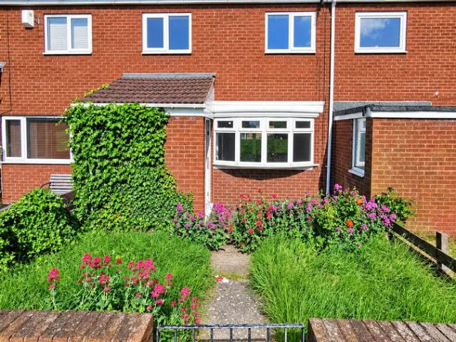 Skegness Parade, Hebburn, 2 NE31, 3 bed terraced house to rent, £795 pcm | PrimeLocation